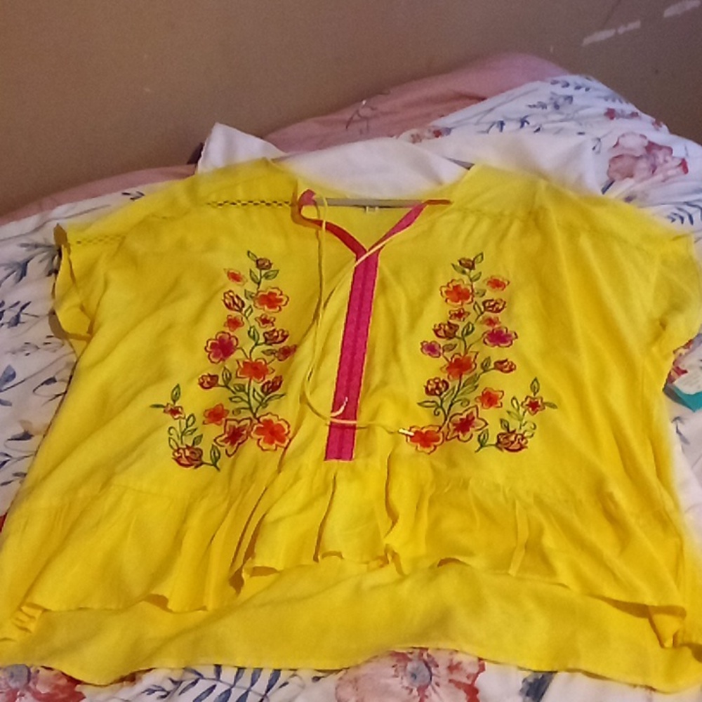 Pioneer Woman Embroidered Ruffle Hem Blouse Sz 3 x